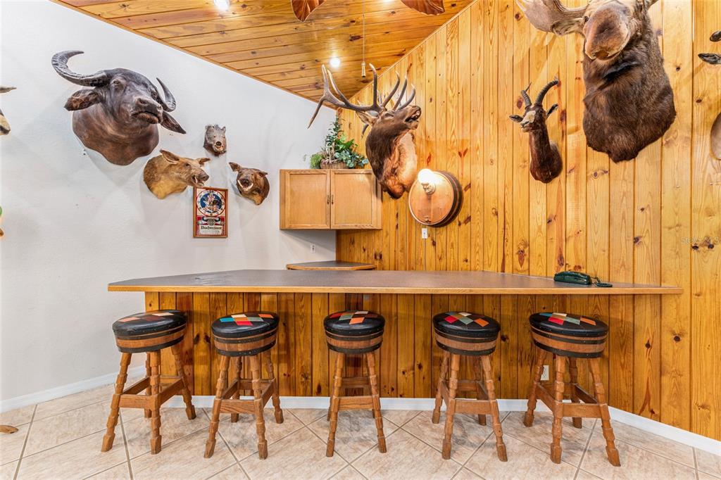 255 Southwest 96th Lane Ocala, FL 34476 - Photo 62 of 92 a table with chairs and a potted plant on it