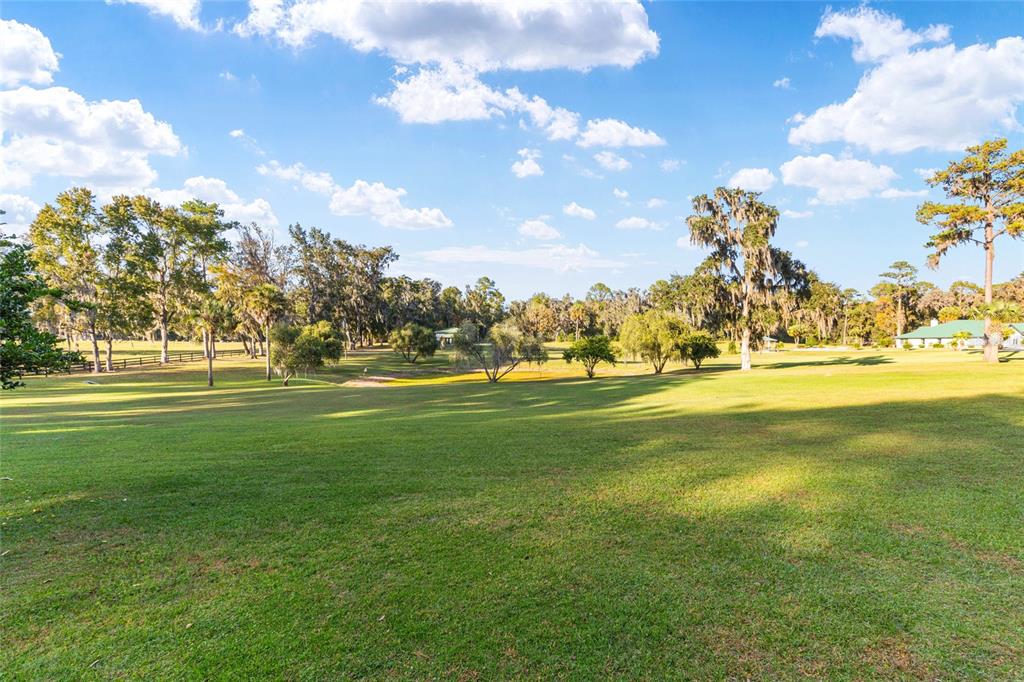 255 Southwest 96th Lane Ocala, FL 34476 - Photo 70 of 87