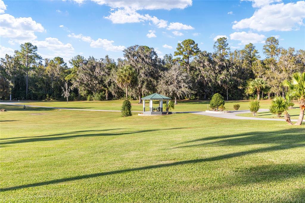 255 Southwest 96th Lane Ocala, FL 34476 - Photo 71 of 87