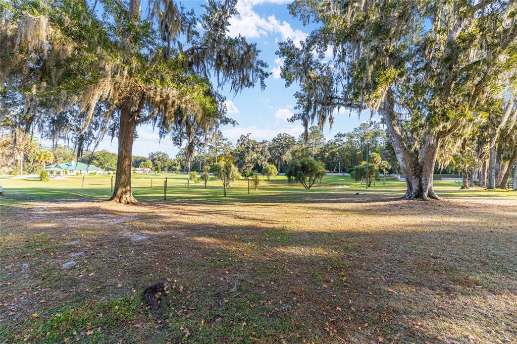 255 Southwest 96th Lane Ocala, FL 34476 - Photo 78 of 97