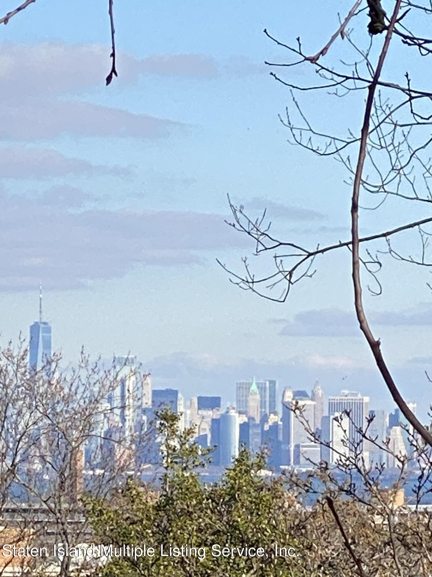 29 Ridgefield Avenue Staten Island, NY 10304 - Photo 61 of 68 IMG_3864