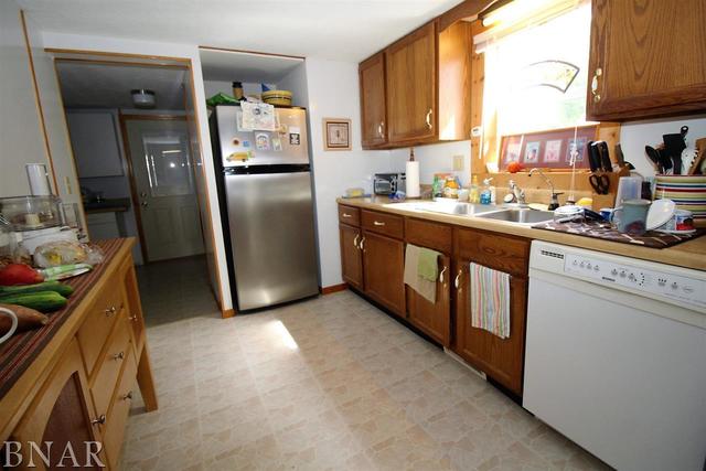 313 North Main Street Saybrook, IL 61770 - Photo 4 of 14