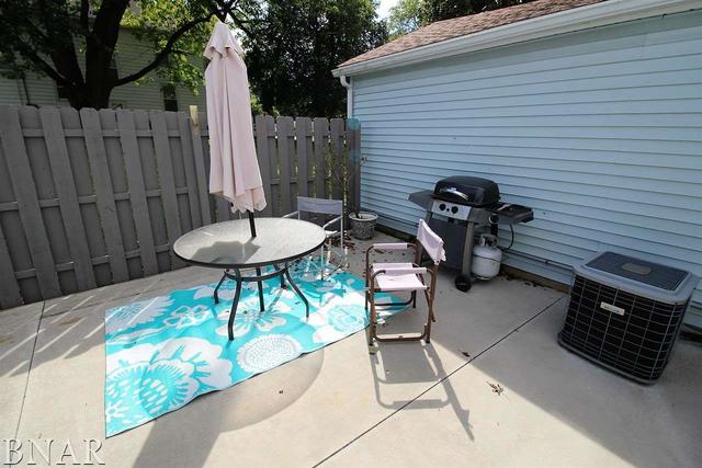 313 North Main Street Saybrook, IL 61770 - Photo 9 of 14