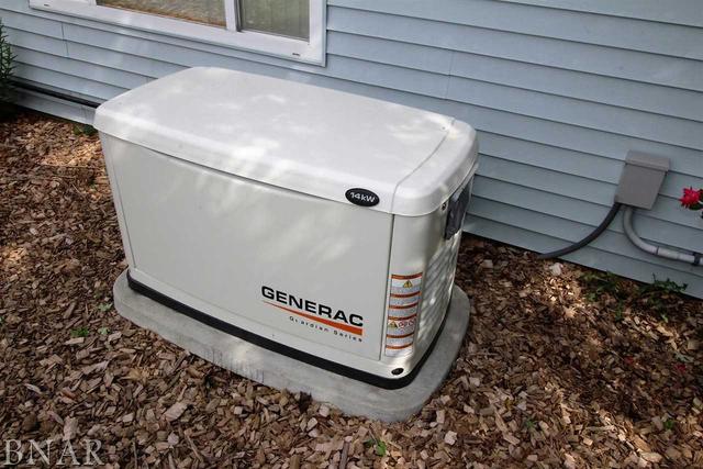 313 North Main Street Saybrook, IL 61770 - Photo 10 of 14