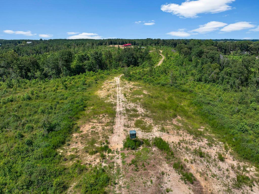 1063 Lays Road Jasper, AL 35503 - Photo 29 of 35 DJI_20250717131657_0058_D-48-10