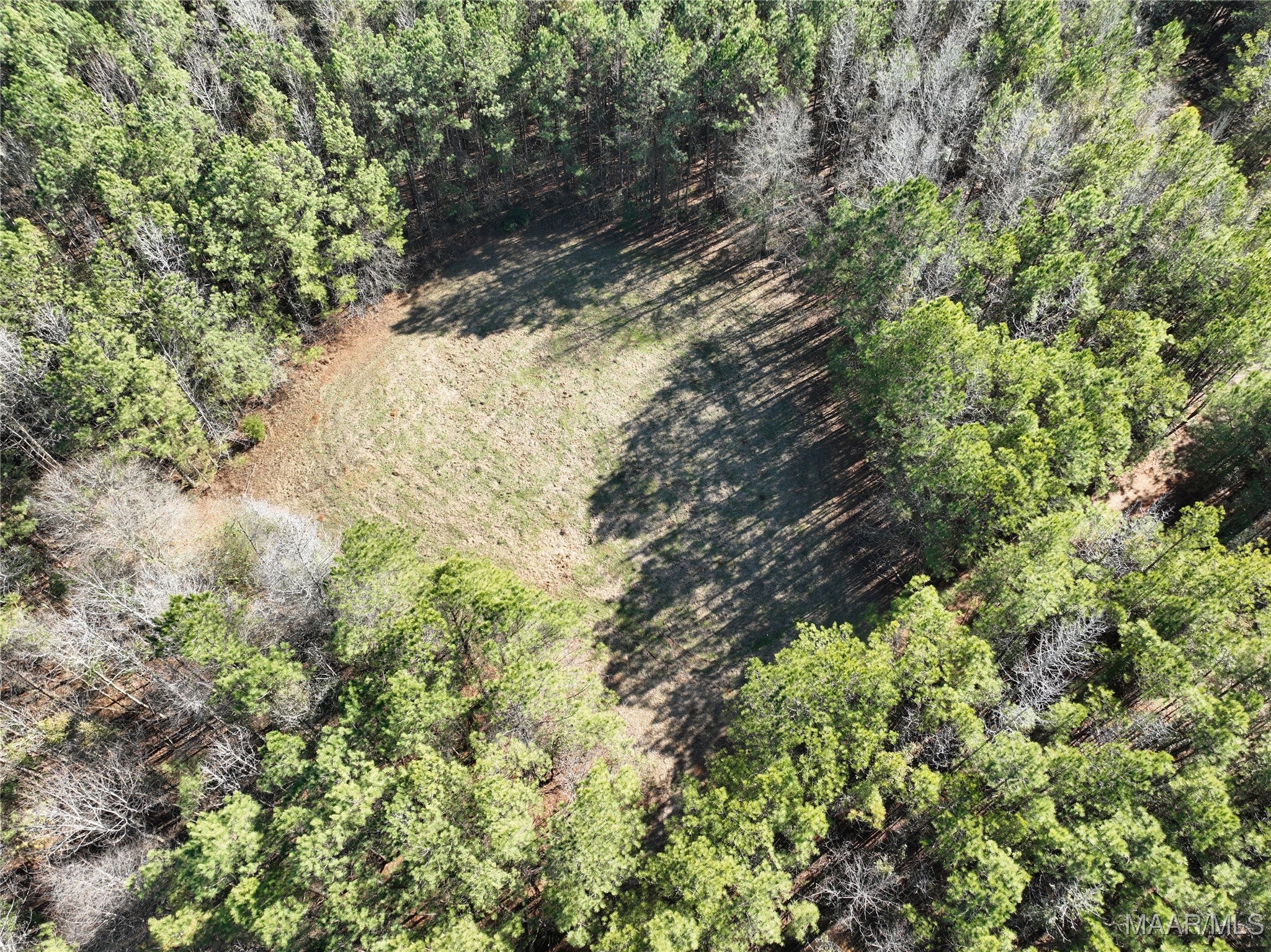 57 Pryor Bottom Road Marion, AL 36756 - Photo 9 of 18 Gallery Image 9