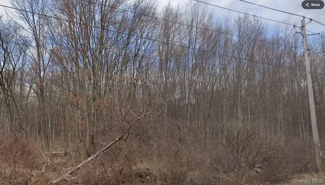 a view of a wooden door