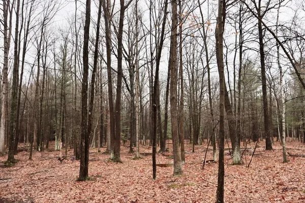 $829,000 | 837 East Whitetail Drive, Midland, MI 48640