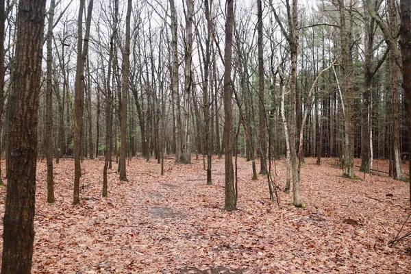 $829,000 | 837 East Whitetail Drive, Midland, MI 48640