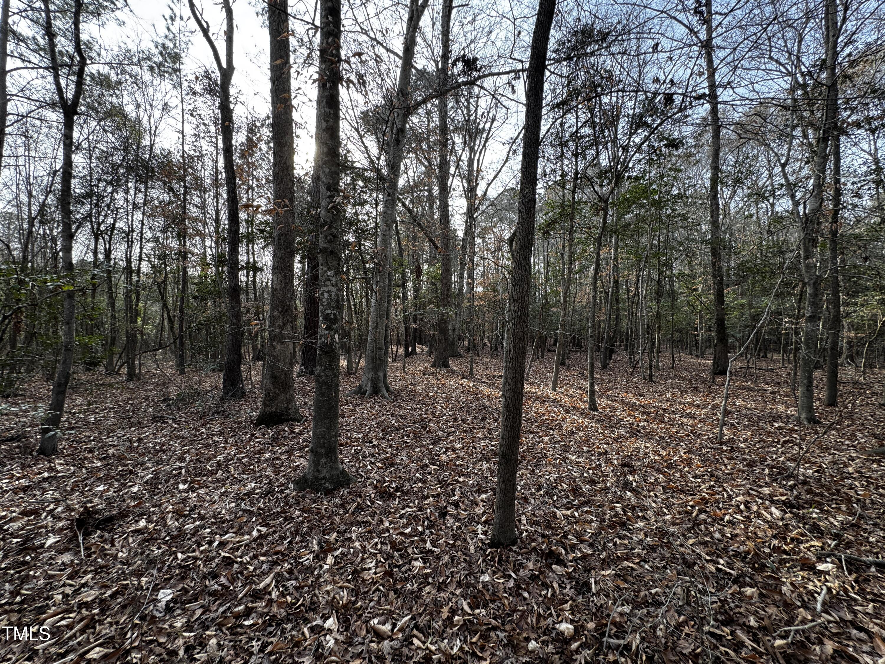 0 Lot 2c Sledge Road Bunn, NC 27508 - Photo 19 of 22 IMG_4929