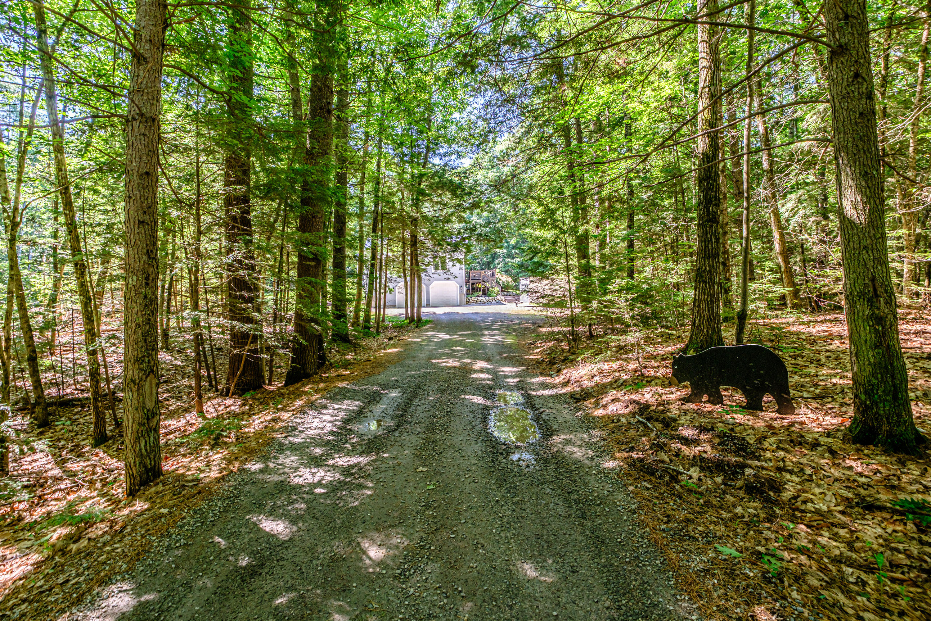 10 Bear Point Road Harrison, ME 04040 - Photo 8 of 86 20260624gp-61018