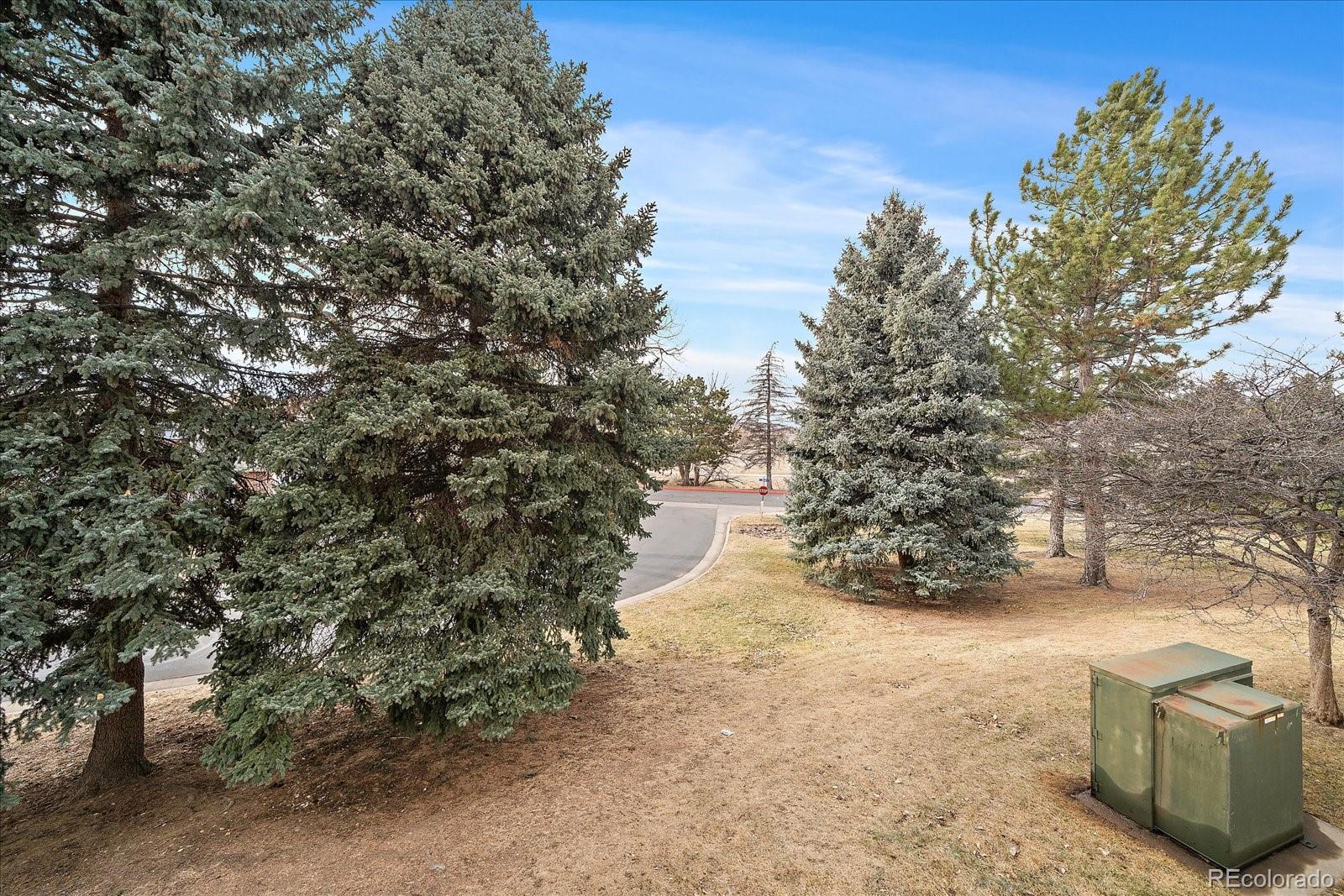 471 South Kalispell Way, Unit 101 Aurora, CO 80017 - Photo 21 of 27 a view of a yard with mountain view