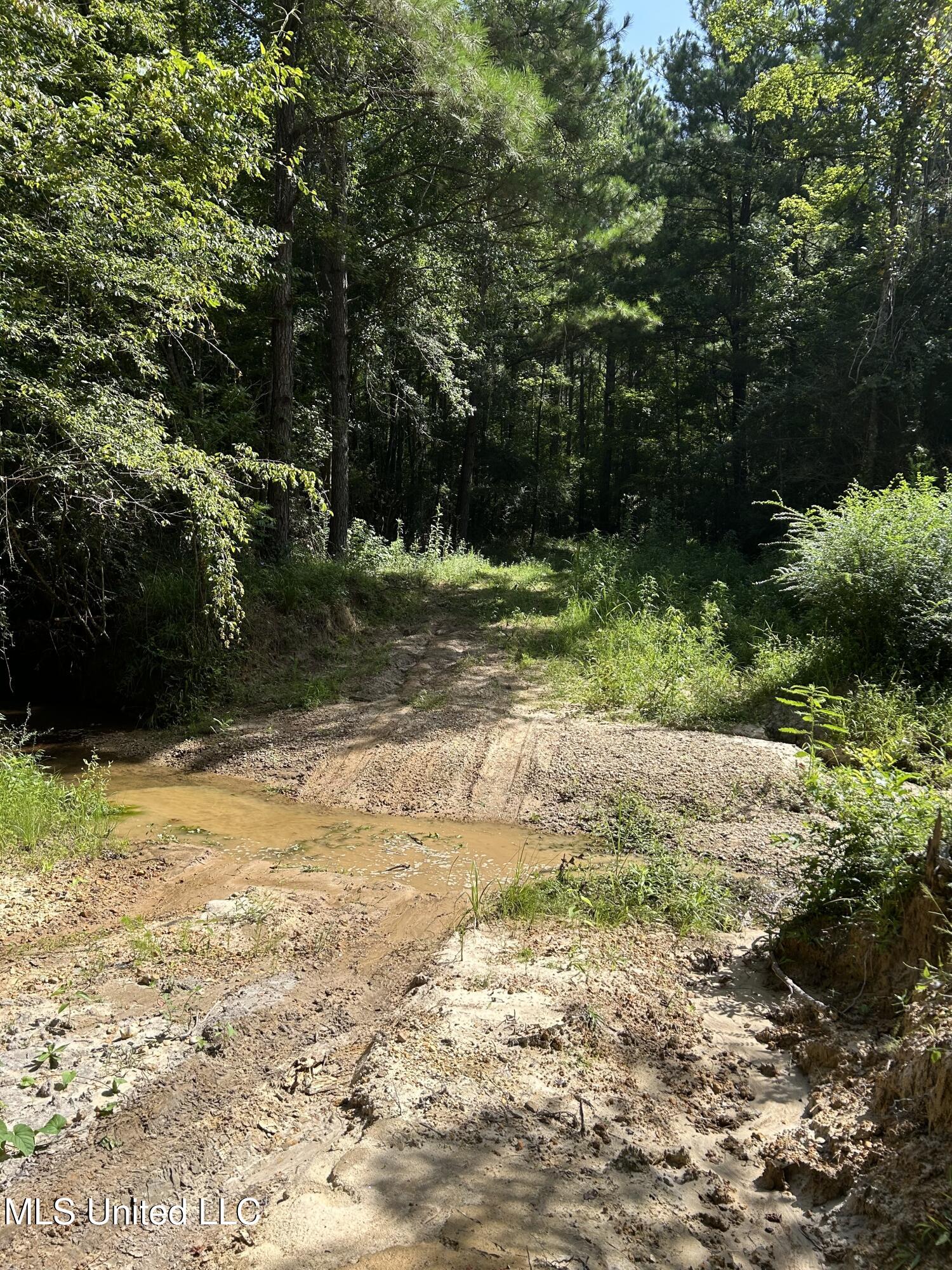 Lowenkamp Lane Hazlehurst, MS 39083 - Photo 5 of 16 Cop-Triska-LowFord