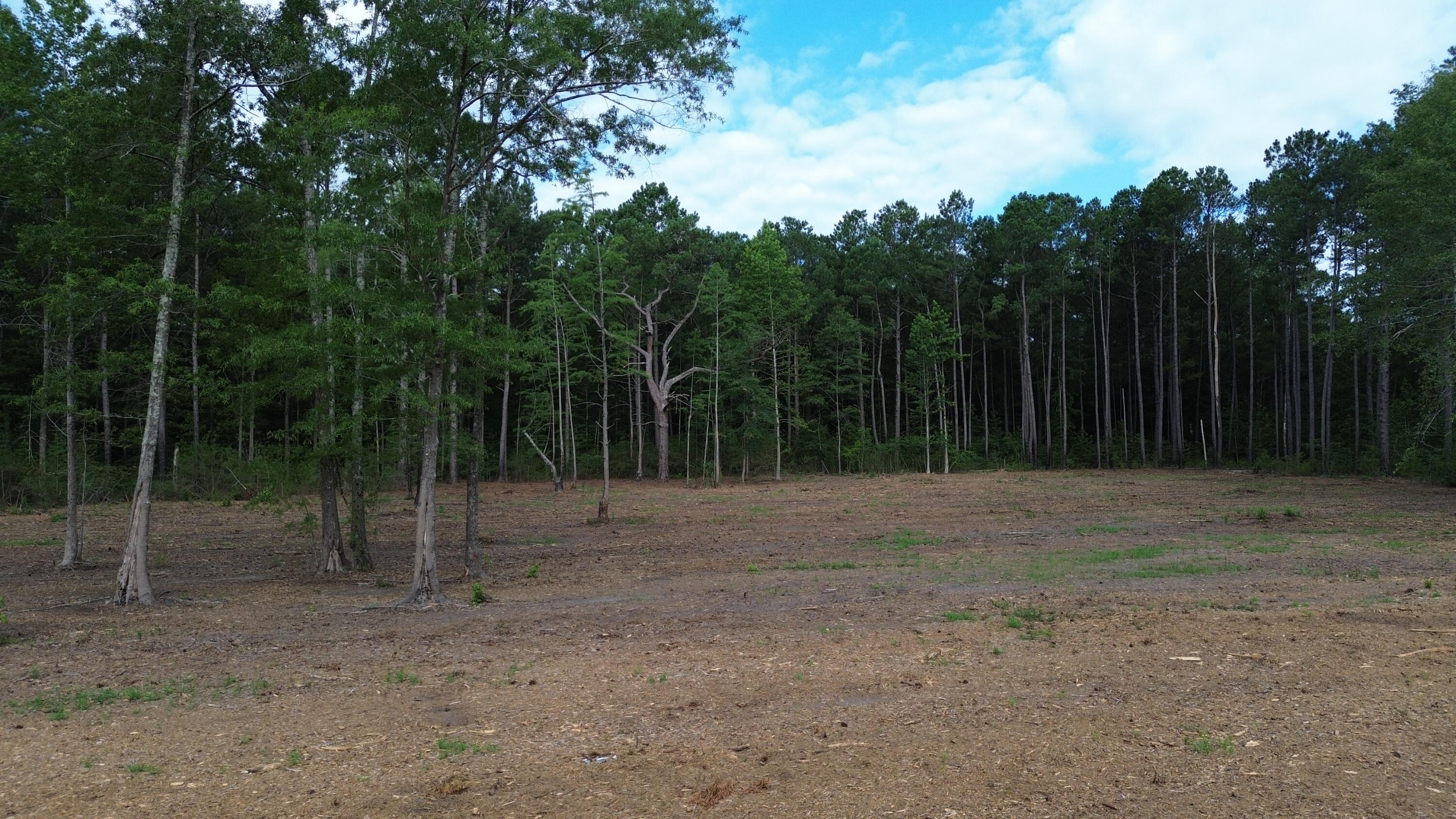2 Trojan Road Cross, SC 29436 - Photo 9 of 17