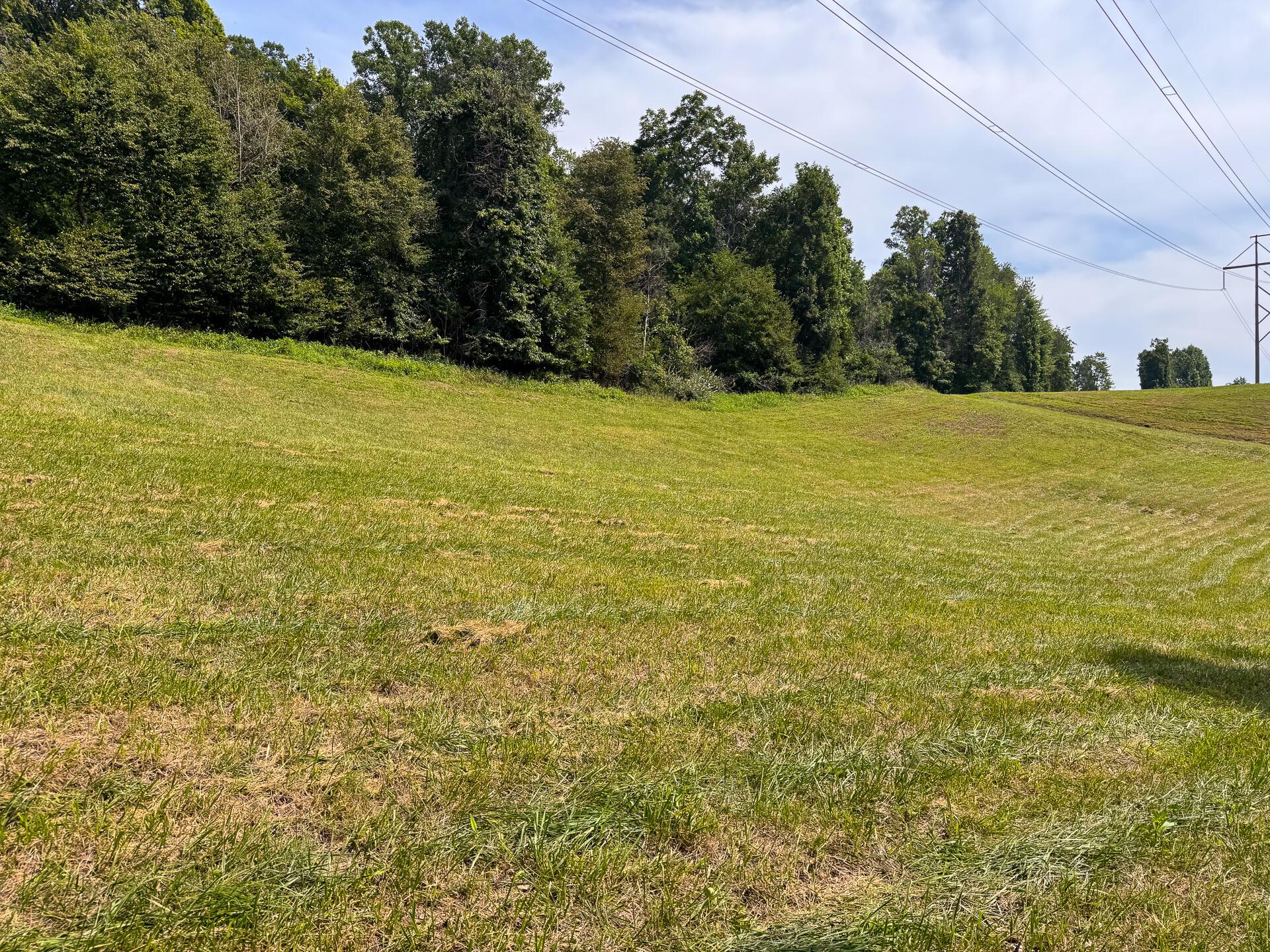16487 Flint Ridge Road, Unit LOT L WOODS FLINT RIDGE) Newark, OH 43056 - Photo 36 of 39 CT-36