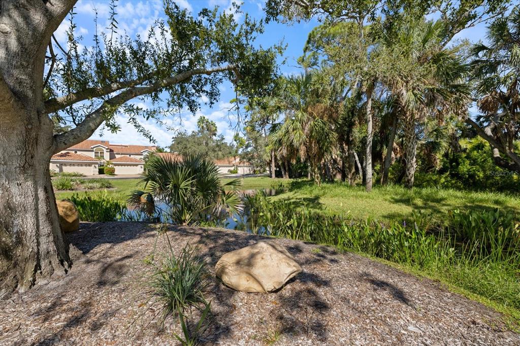 447 Oak Point Road Osprey, FL 34229 - Photo 79 of 99 Gallery Image 79
