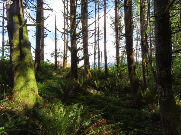 $259,900 | Hockett Road, Onalaska, WA 98570