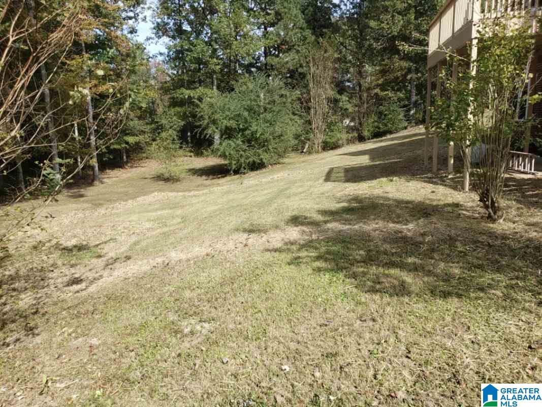 2731 Aspen Lake Road Helena, AL 35022 - Photo 11 of 17