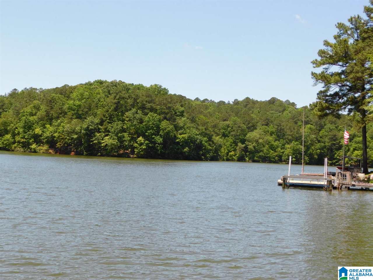 155 Deer Trace Alexander City, AL 35010 - Photo 46 of 49