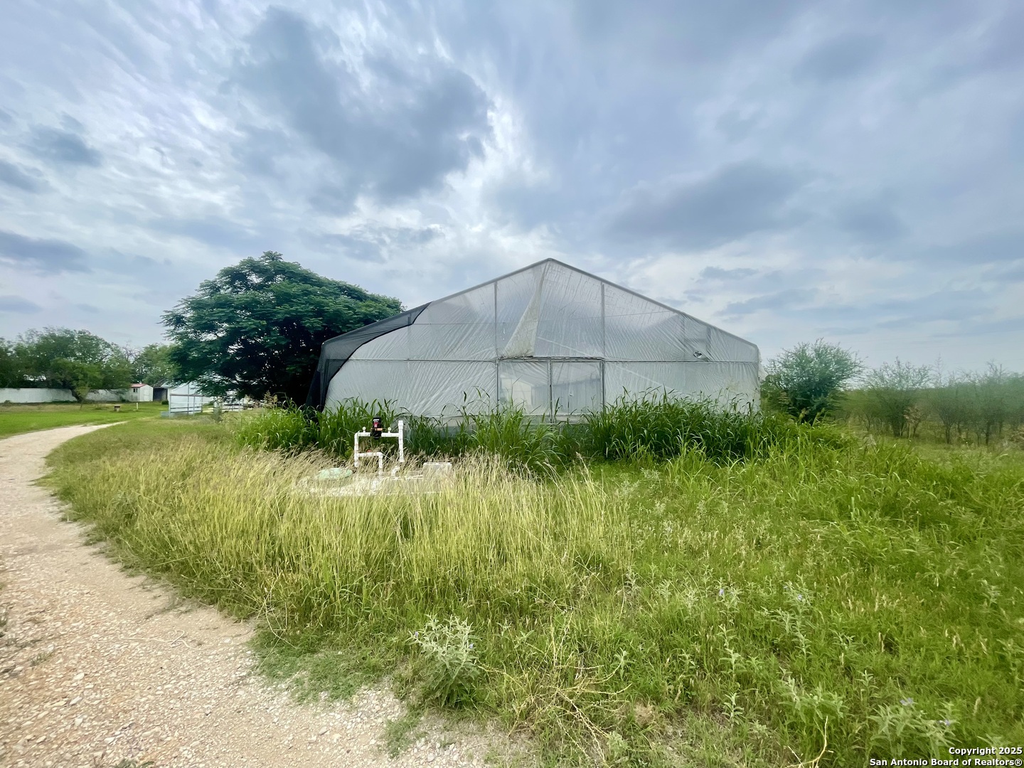 2230 Weil Road Marion, TX 78124 - Photo 17 of 21 a backyard of a house with a yard and plants