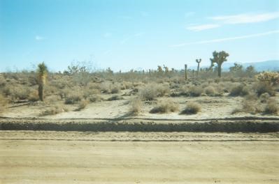 0 Goss Road West Phelan, CA 92371 - Photo 1 of 1 a view of a lake view