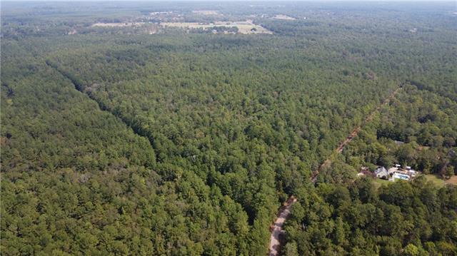 102-acres Bruhl Road Folsom, LA 70437 - Photo 2 of 4 Gallery Image 2