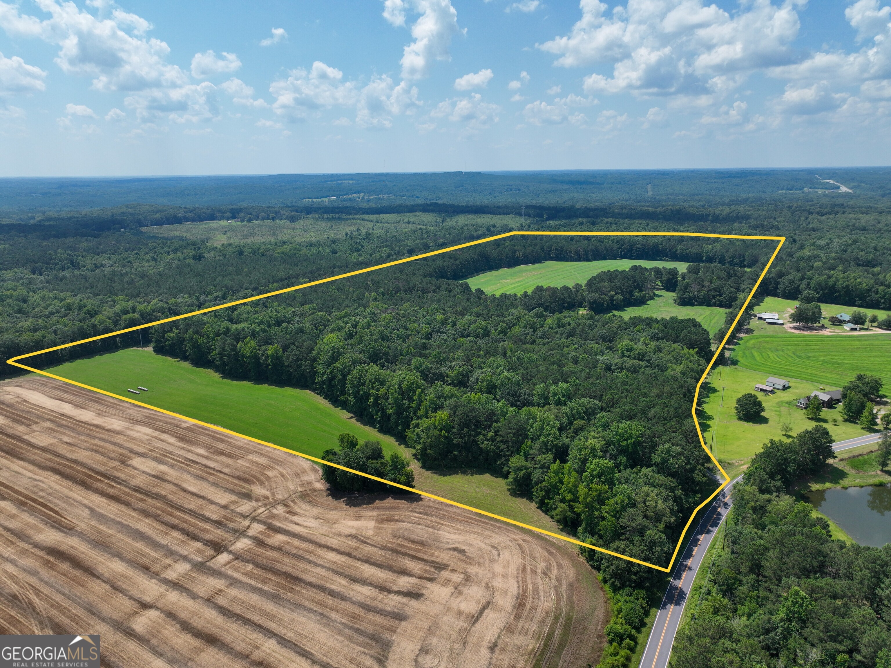 0 Silver Dollar Road Milner, GA 30204 - Photo 1 of 1 Gallery Image 1