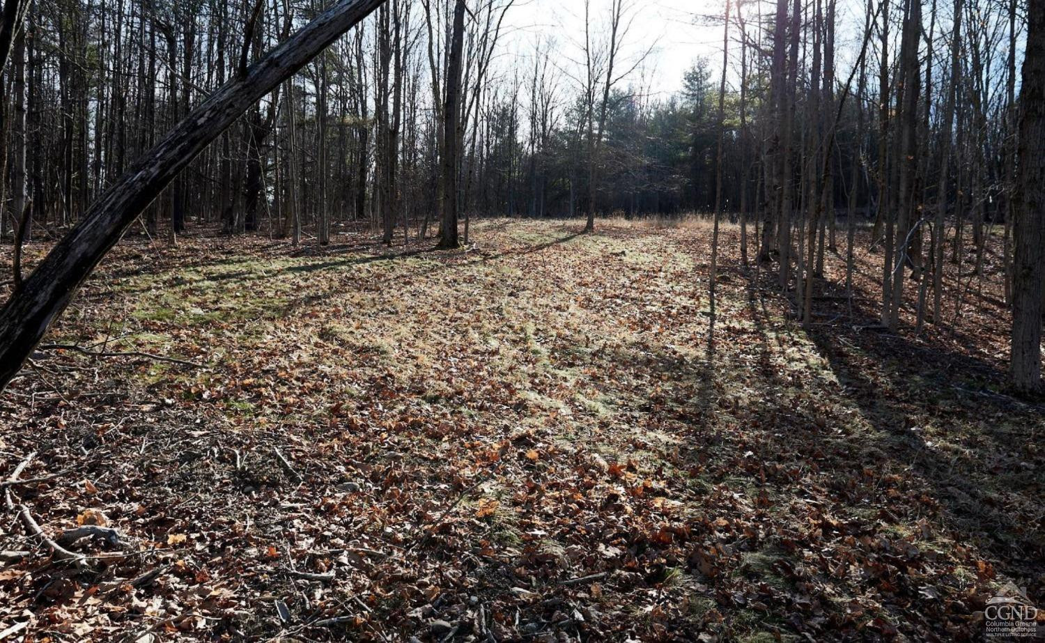 0 Bates Road Craryville, NY 12521 - Photo 11 of 15 a view of a backyard of a house