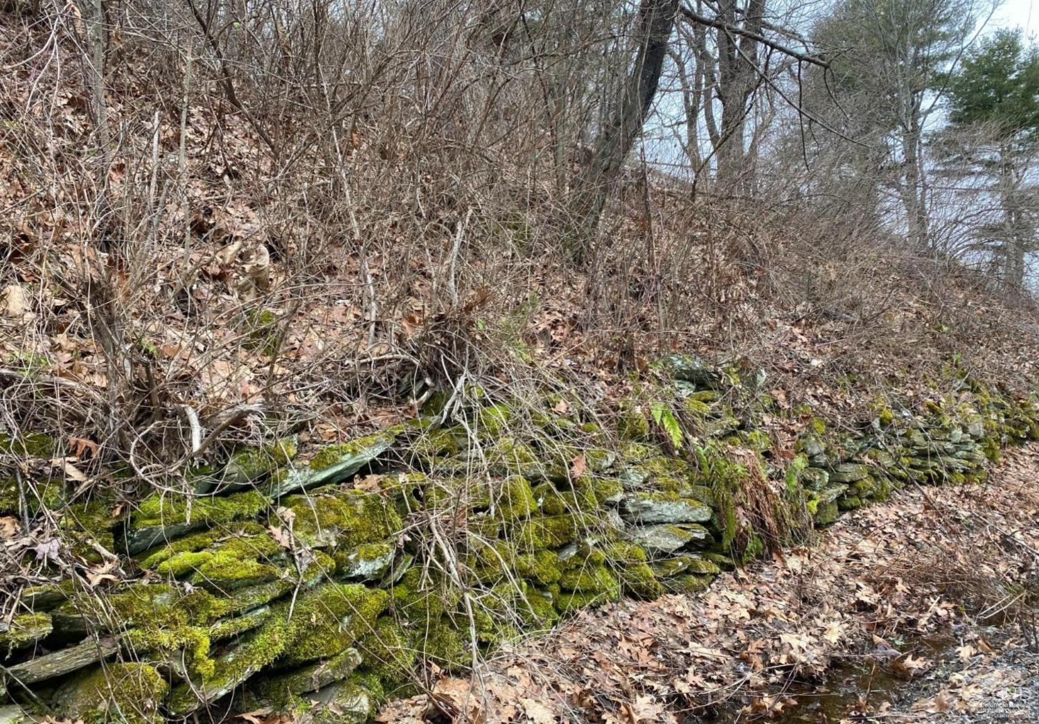 0 Bates Road Craryville, NY 12521 - Photo 12 of 15 a view of a yard with a tree