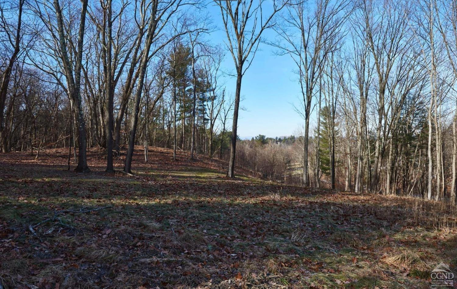 0 Bates Road Craryville, NY 12521 - Photo 13 of 15 a view of backyard space