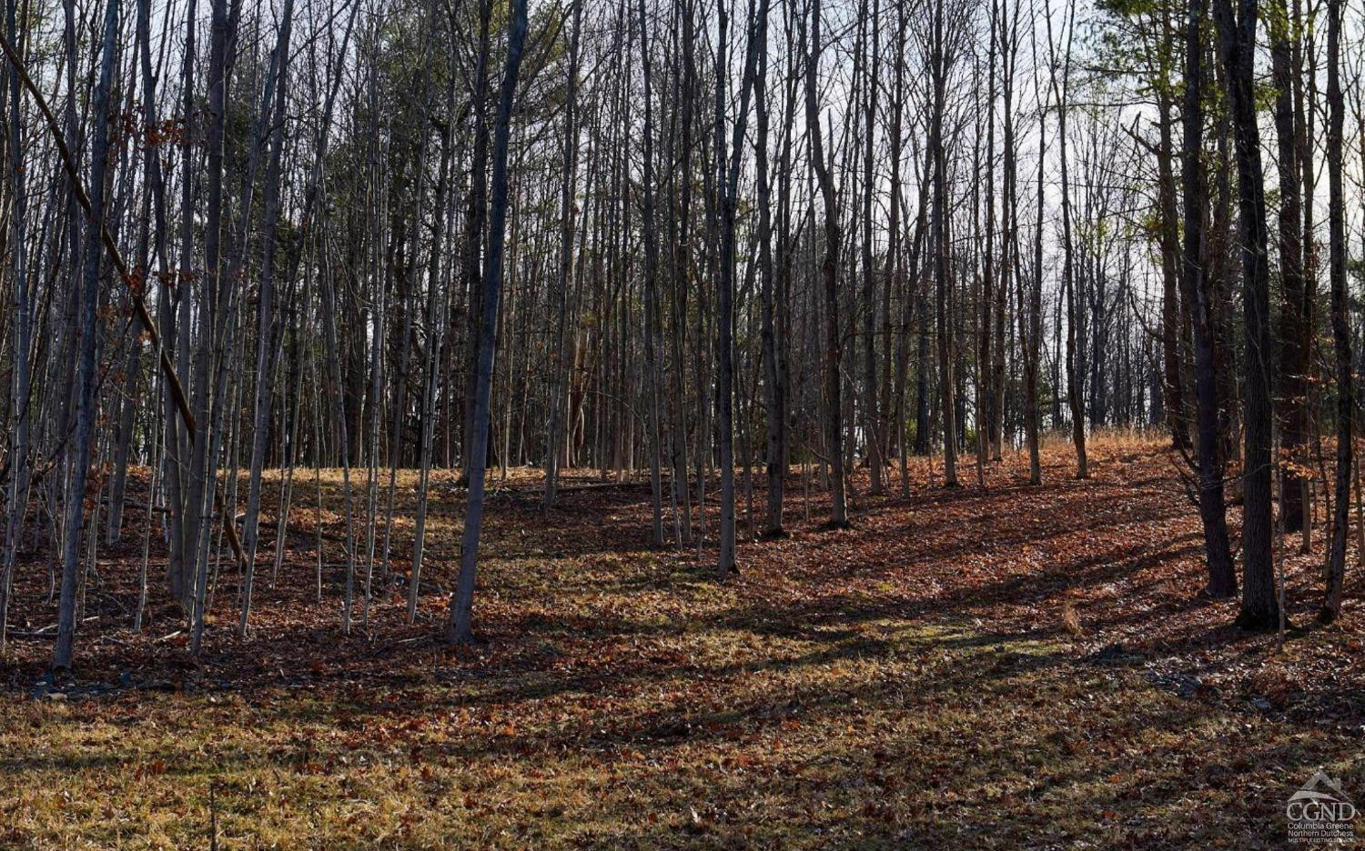 0 Bates Road Craryville, NY 12521 - Photo 14 of 15 a view of a backyard with trees