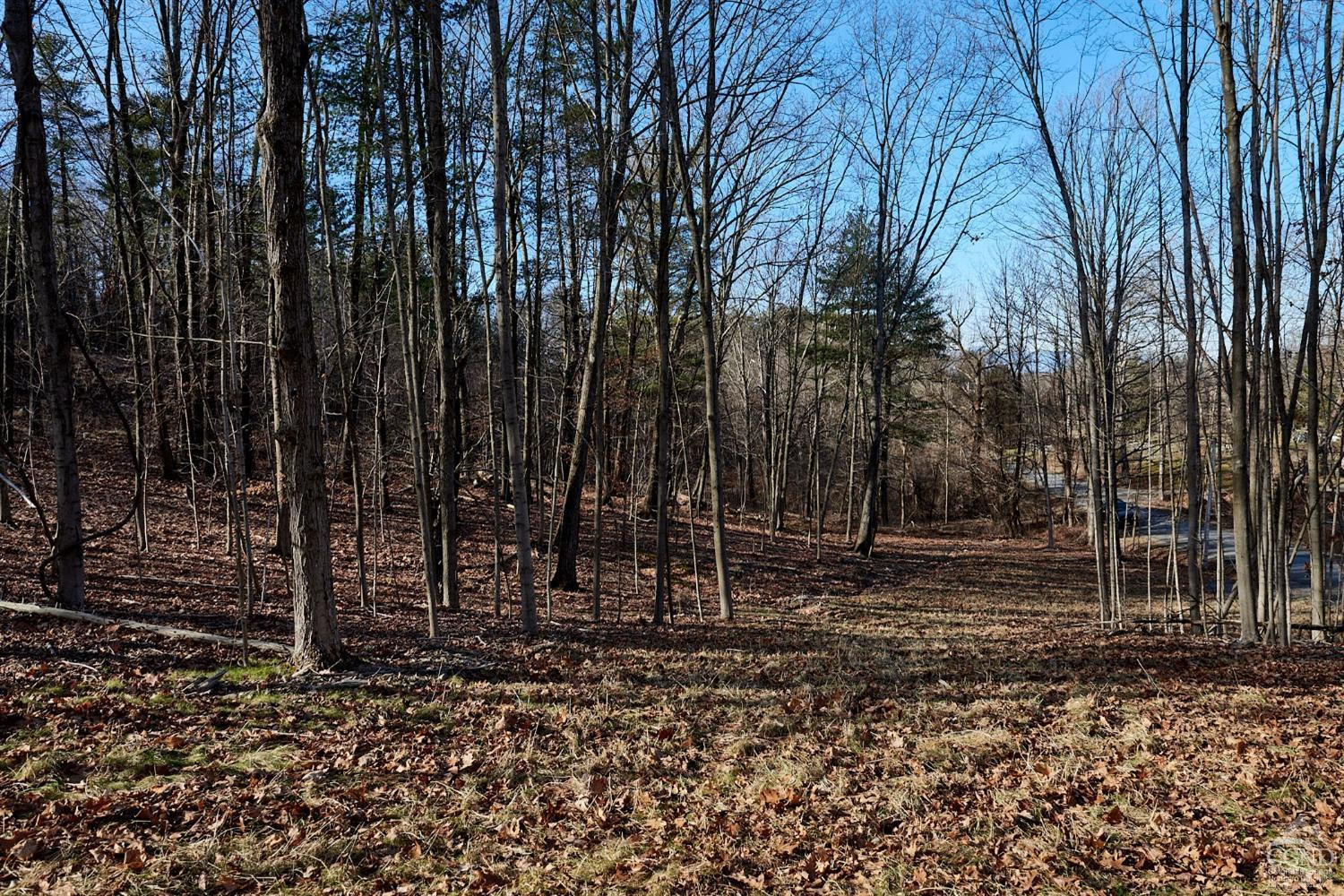 0 Bates Road Craryville, NY 12521 - Photo 2 of 15 a backyard of a house with lots of green space