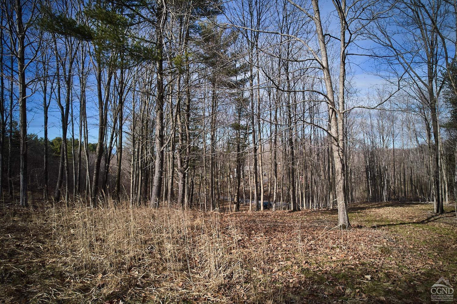 0 Bates Road Craryville, NY 12521 - Photo 7 of 15 a view of outdoor space with wooden fence