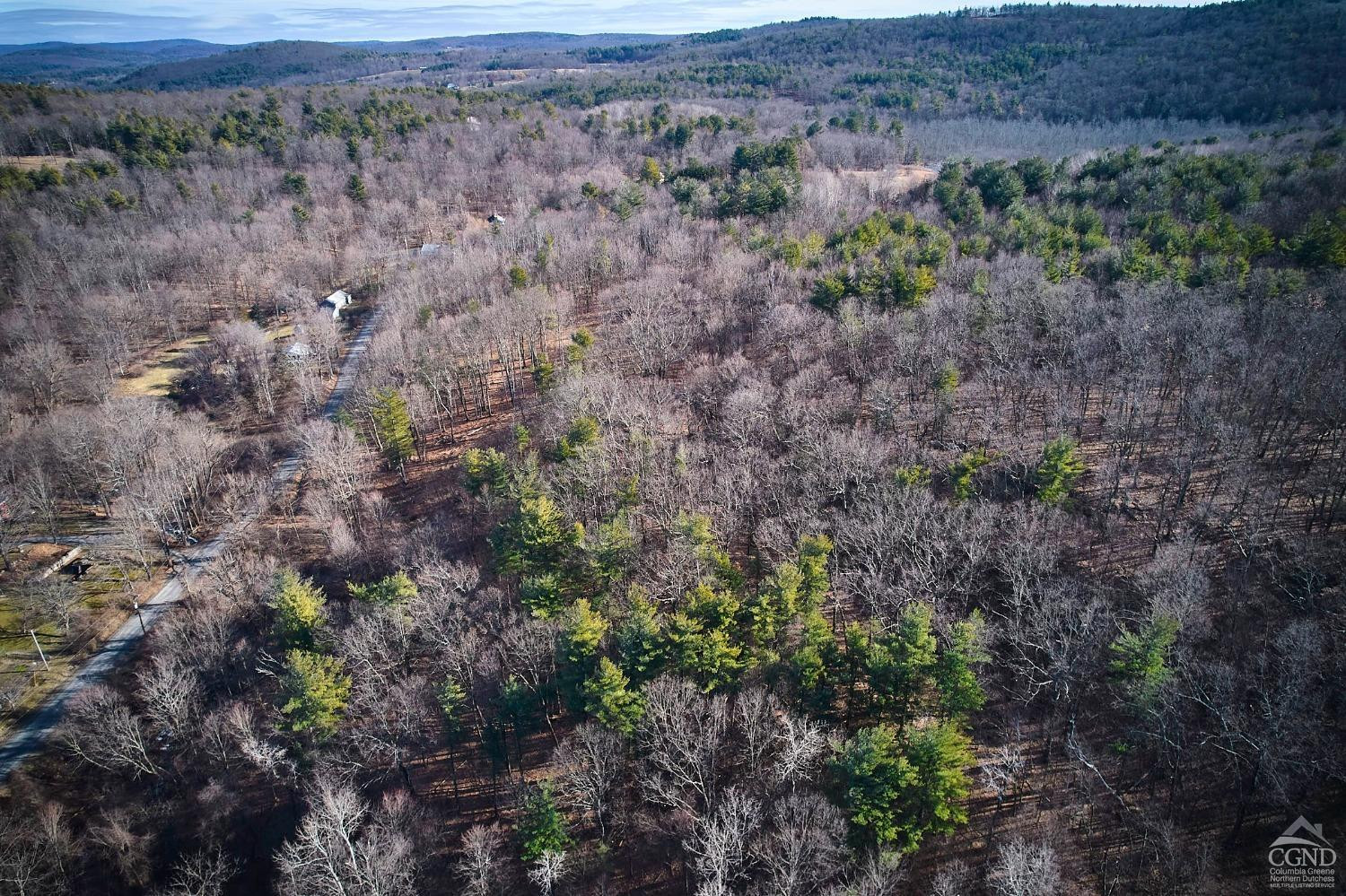 0 Bates Road Craryville, NY 12521 - Photo 10 of 15 a view of a dry field with trees