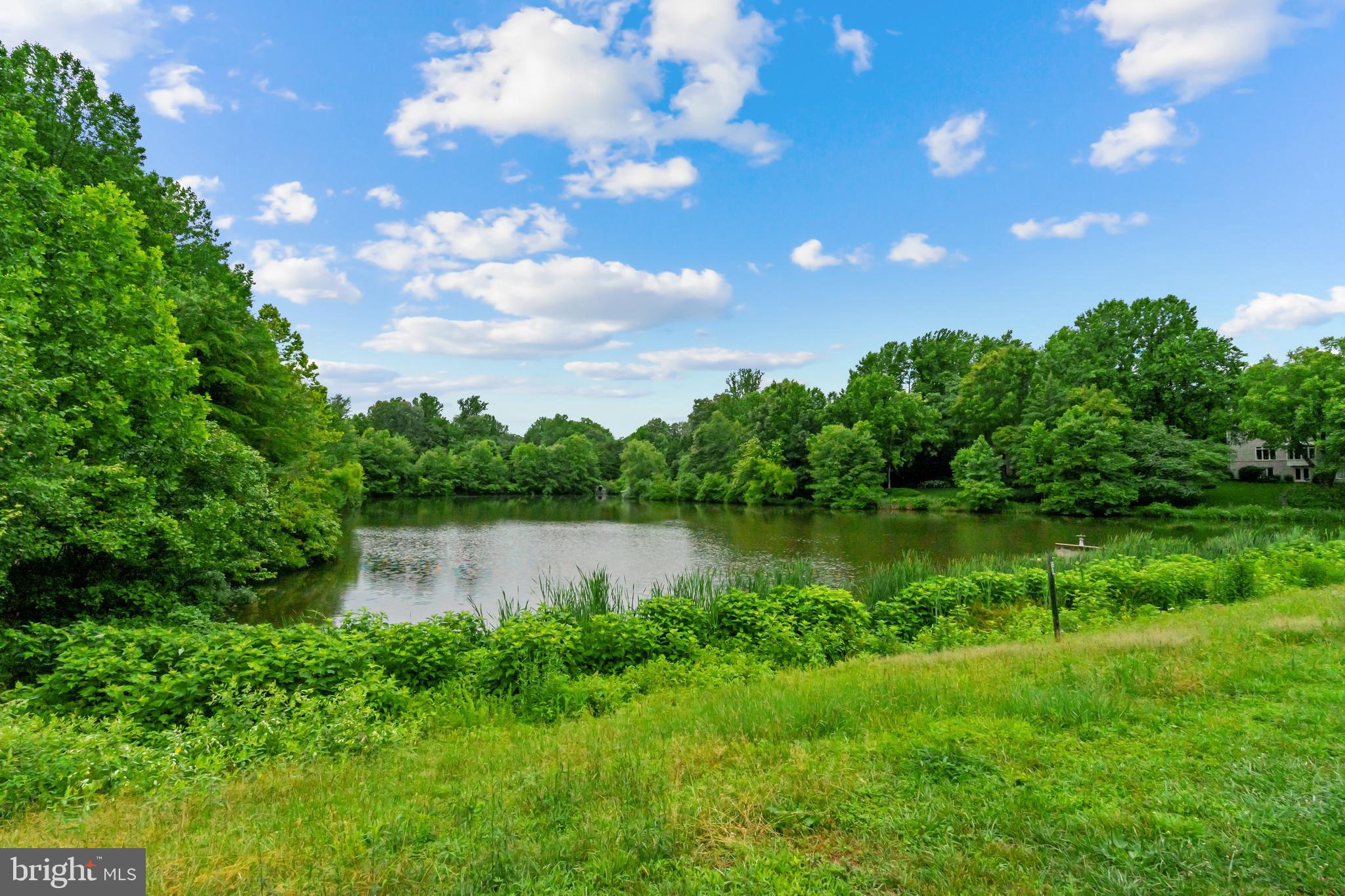1236 Vintage Place Reston, VA 20194 - Photo 68 of 75