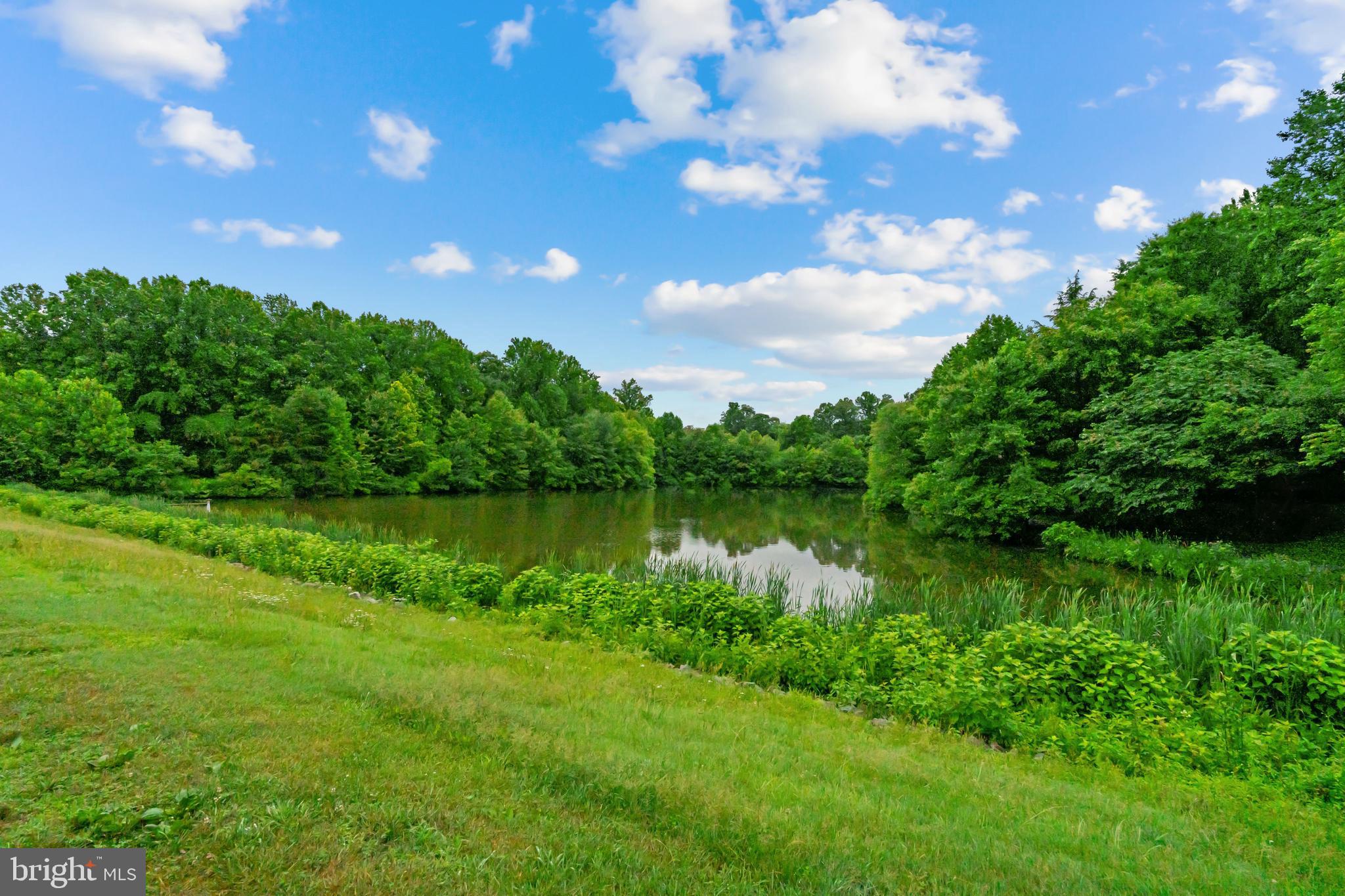 1236 Vintage Place Reston, VA 20194 - Photo 69 of 75