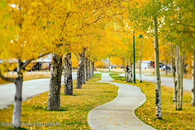 $167,500 | Lot 21 Tbd Old Jackson Hwy Drive, Victor, ID 83455