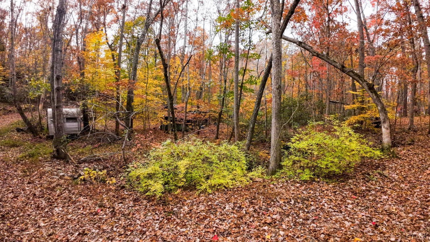 8477 James River Road Shipman, VA 22971 - Photo 11 of 24 Gallery Image 11