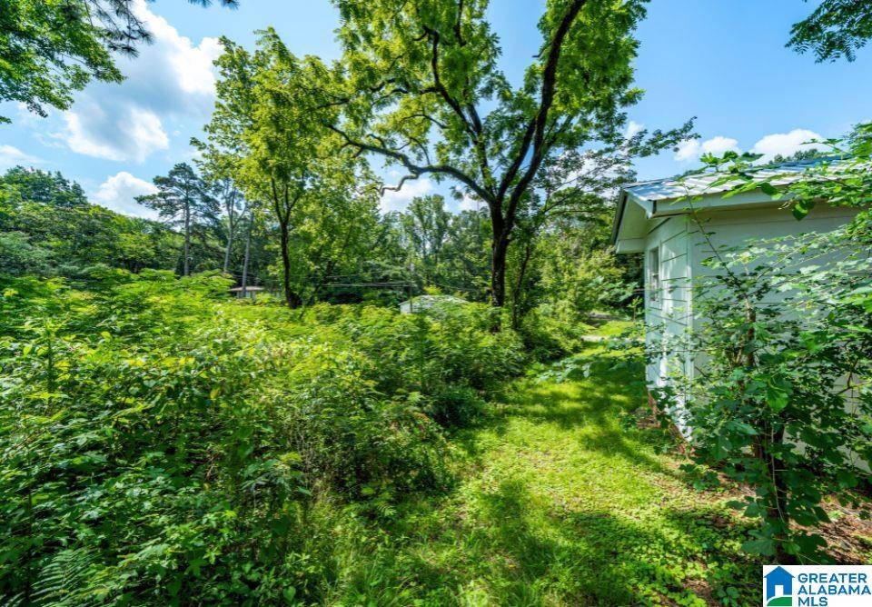 25 Kendall Avenue Adamsville, AL 35005 - Photo 3 of 14