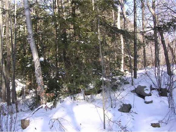 973 A Deering Center Road Weare, NH 03281 - Photo 1 of 1 Gallery Image 1