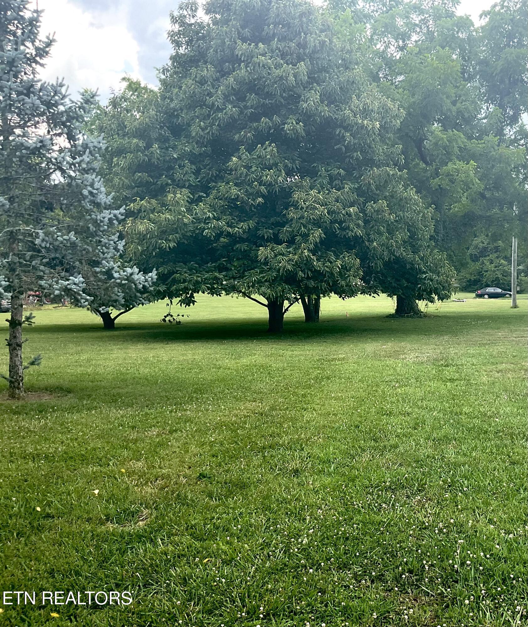 210 Lone Ridge Lane Clinton, TN 37716 - Photo 38 of 47 Back of lot extends here