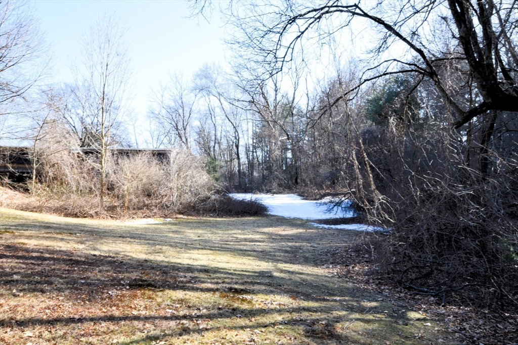 267 South Main Street Hopedale, MA 01747 - Photo 6 of 24 a view of a yard with a large tree