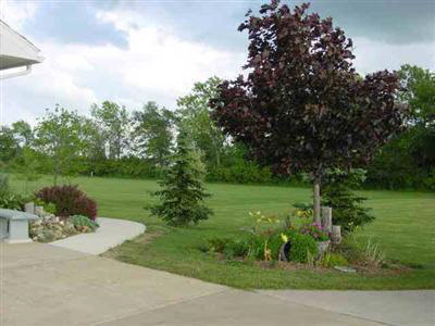 12432 Cook Road Durand, MI 48429 - Photo 5 of 6 20282353-4.JPG