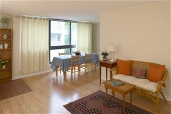 45 Trowbridge Street, Unit 5C Cambridge, MA 02138 - Photo 2 of 8 a living room with furniture and a large window