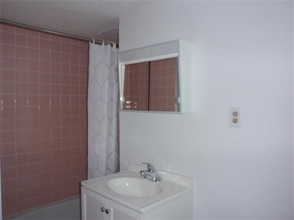 45 Trowbridge Street, Unit 5C Cambridge, MA 02138 - Photo 7 of 8 a bathroom with a sink and a mirror
