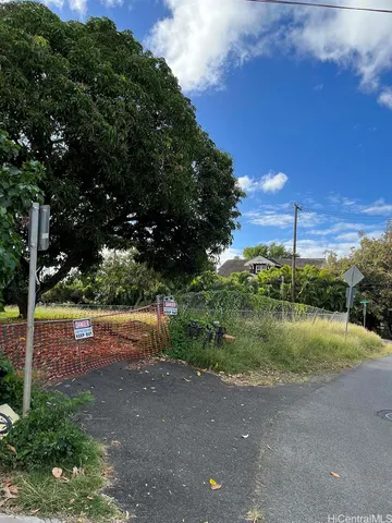 a view of a yard with plants and large trees