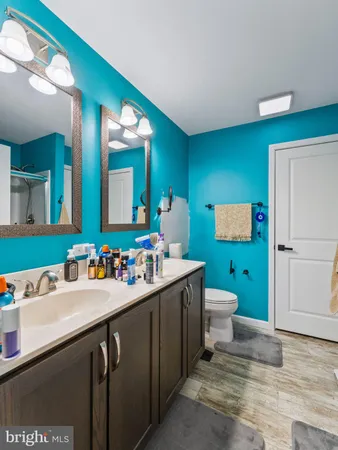 a bathroom with a sink mirror and toilet