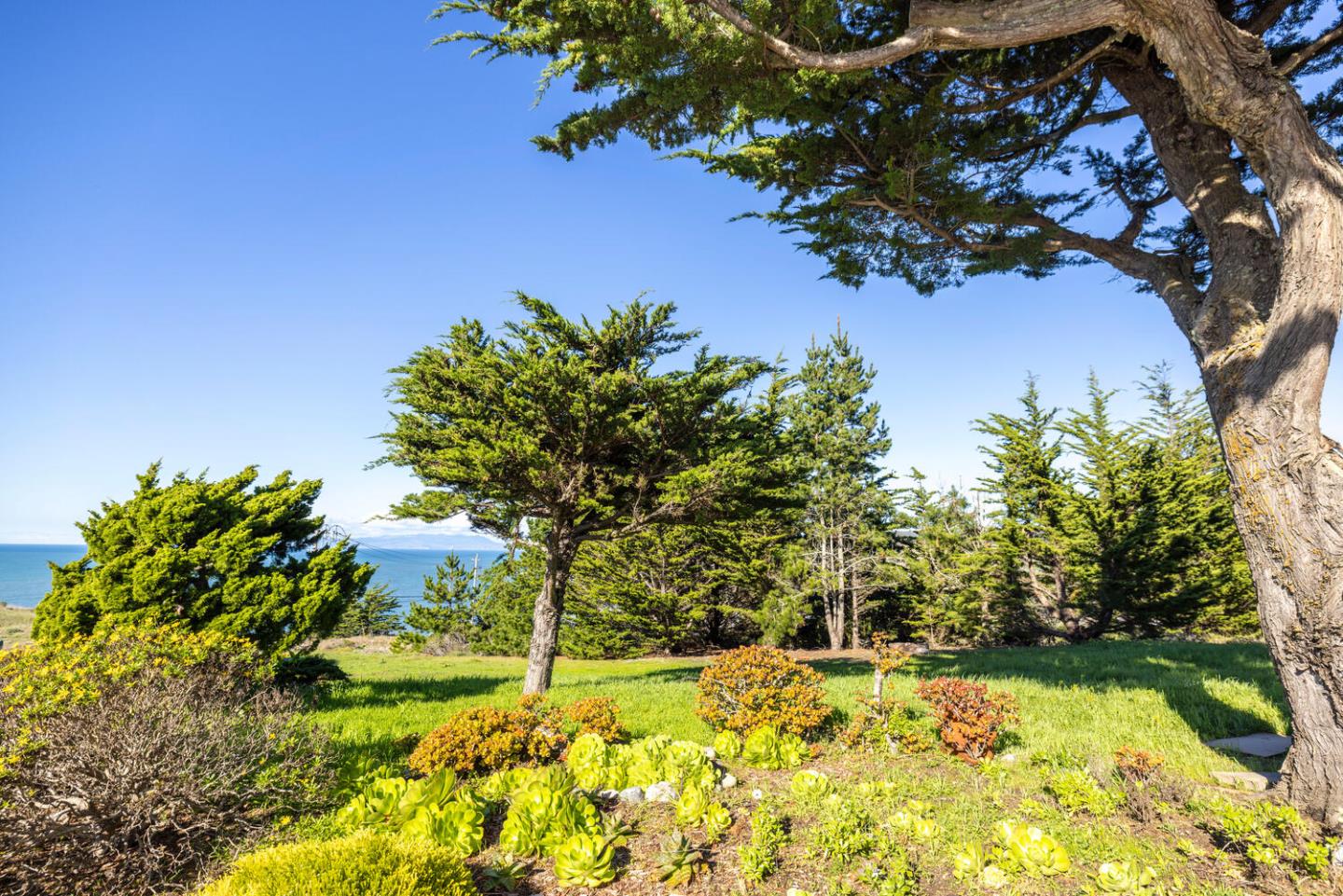 211 Roberts Road Pacifica, CA 94044 - Photo 3 of 42 a view of a yard