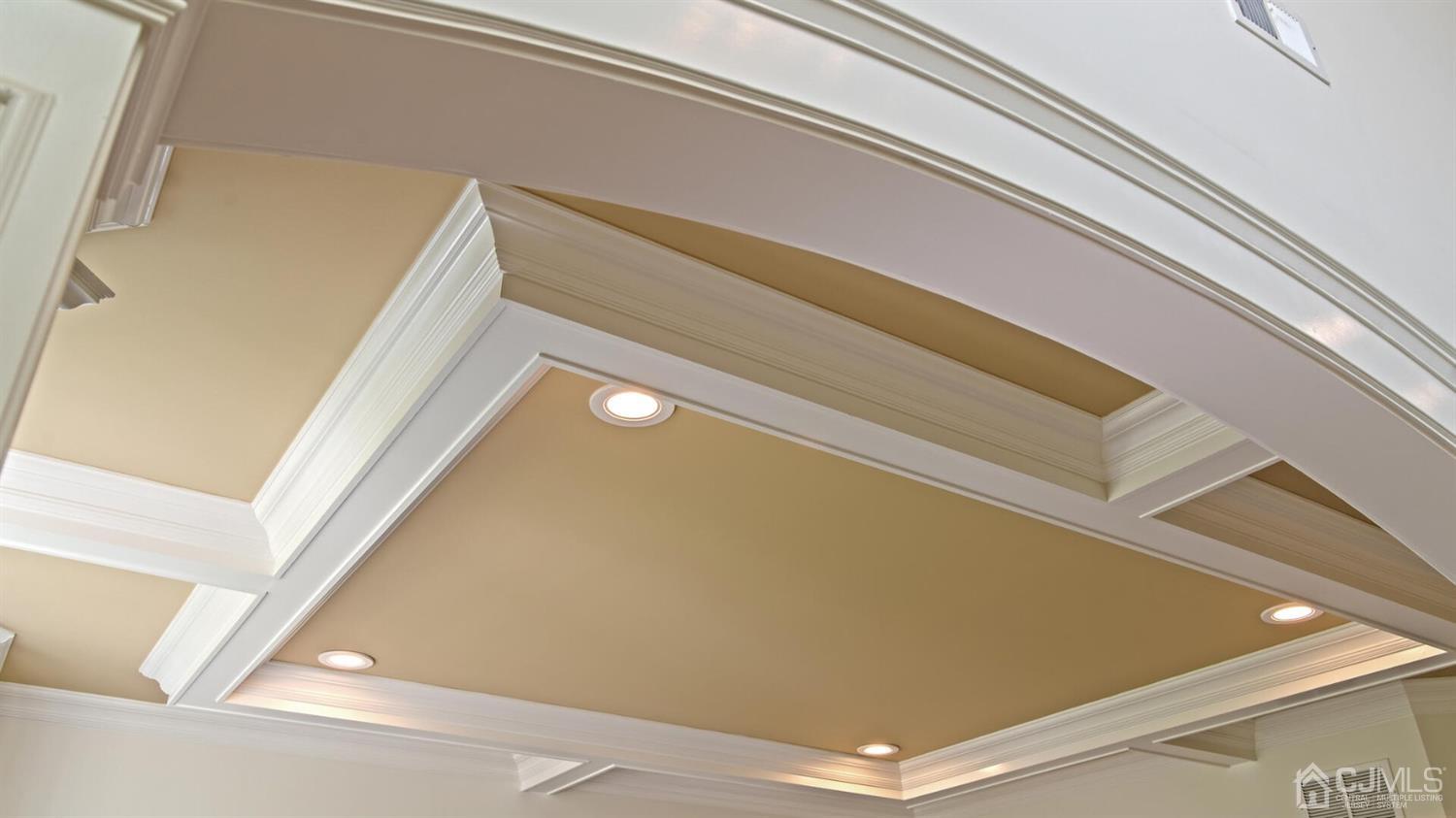 152 Culver Road Monmouth Junction, NJ 08852 - Photo 20 of 87 Coffered ceilings, recessed lighting, arched entry
