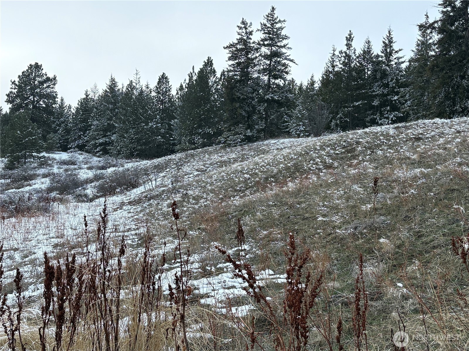 0 Redfield Road Waterville, WA 98858 - Photo 11 of 13